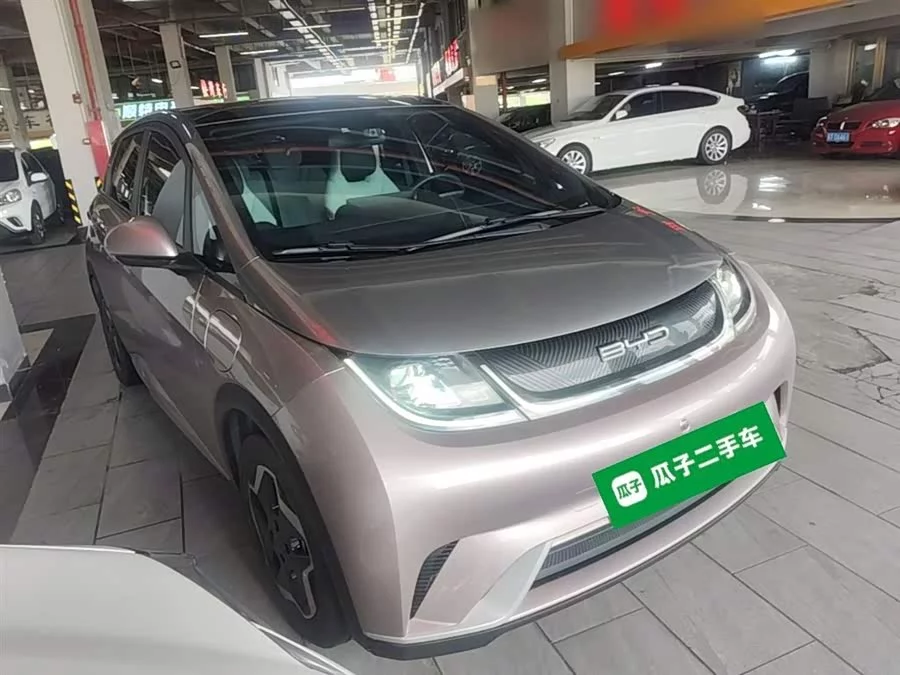 BYD Dolphin