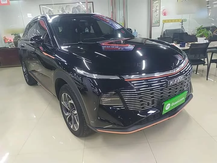 Haval Shenshou