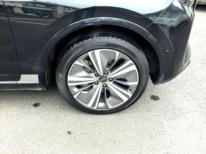 Hongqi E-HS9