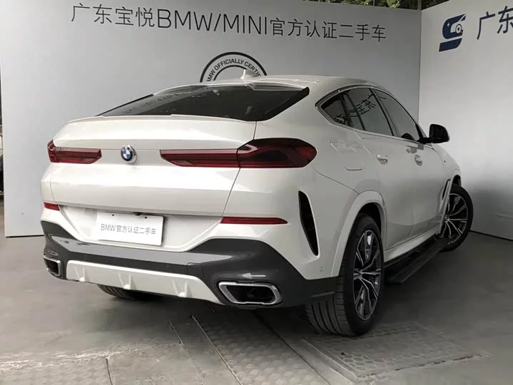 BMW X6