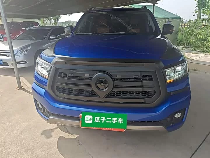 Great Wall gun