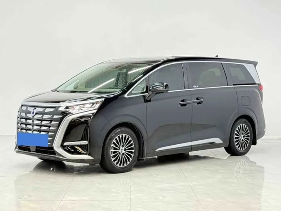 BYD D9