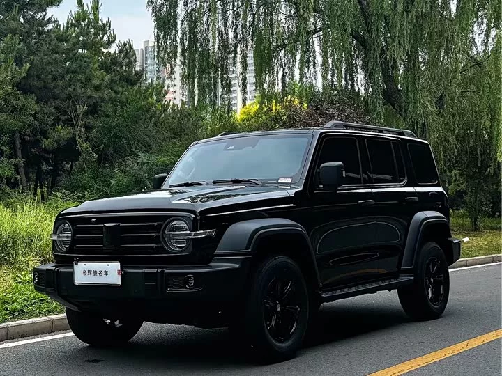 tank 300