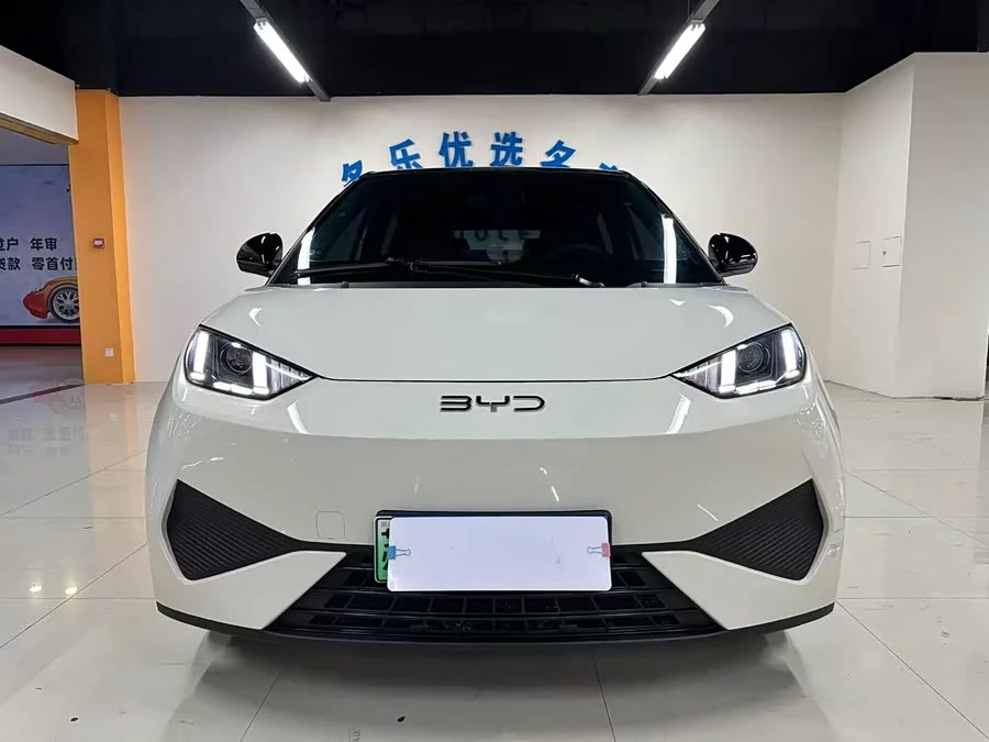 BYD Seagull