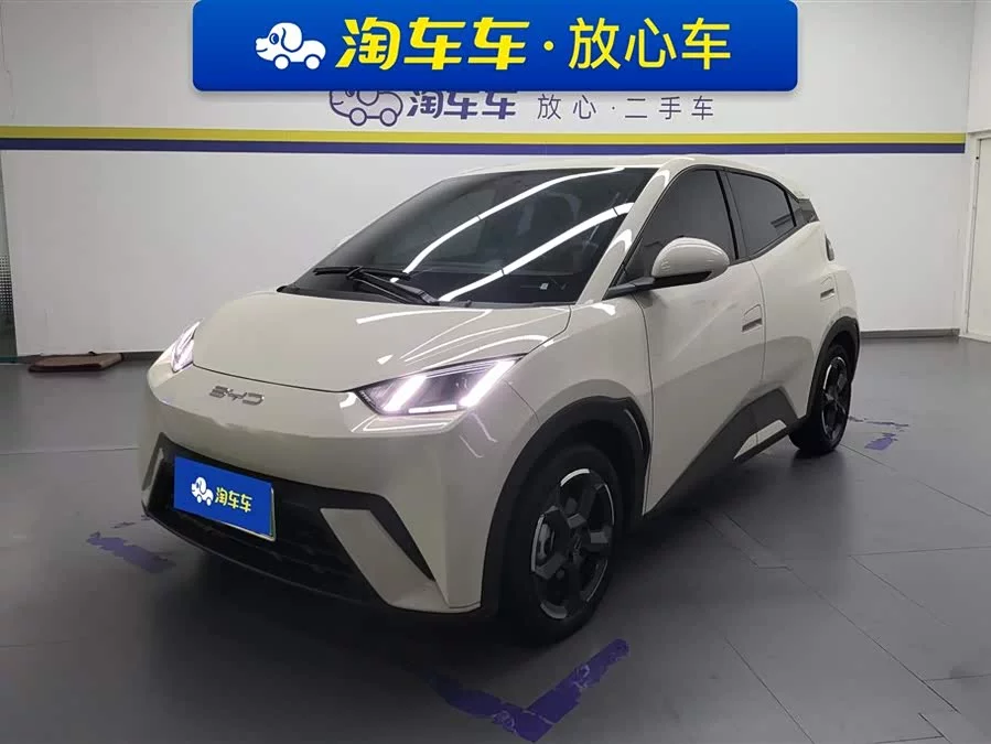 BYD Seagull
