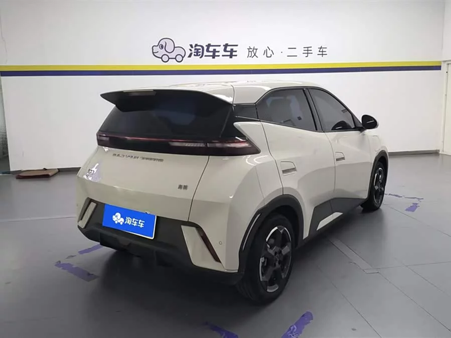 BYD Seagull