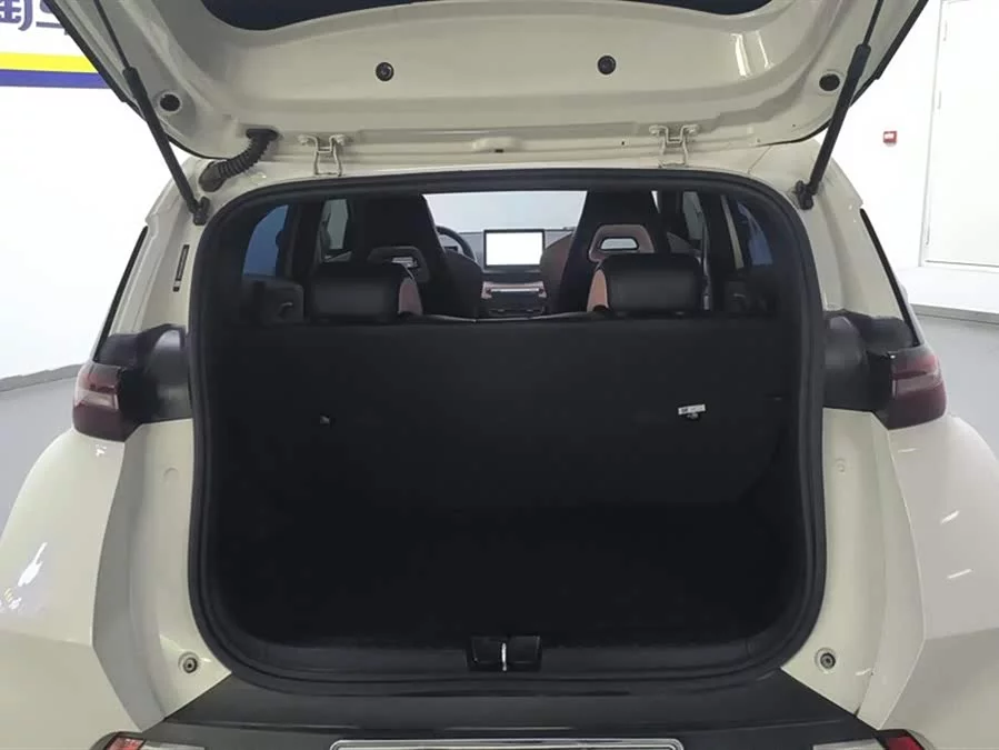 BYD Seagull