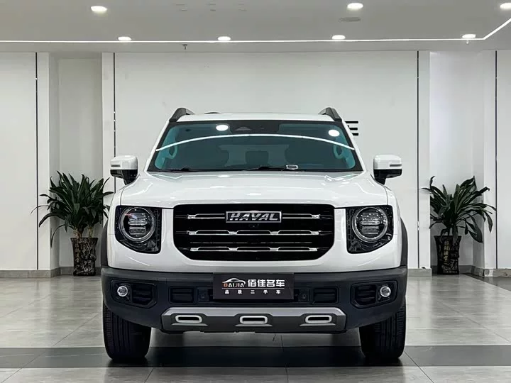 Haval Big Dog DaGou