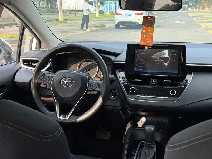 Toyota Asiatic lion