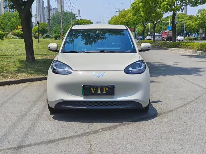 Wuling Bingo