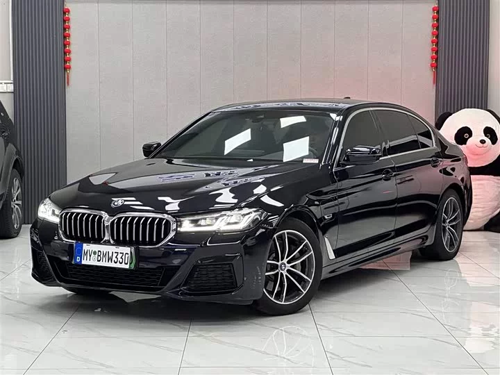 BMW 5 Series New Energy