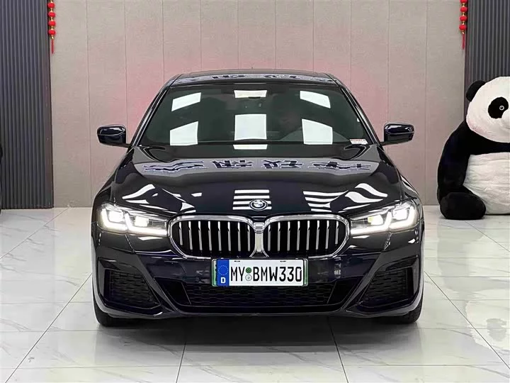 BMW 5 Series New Energy