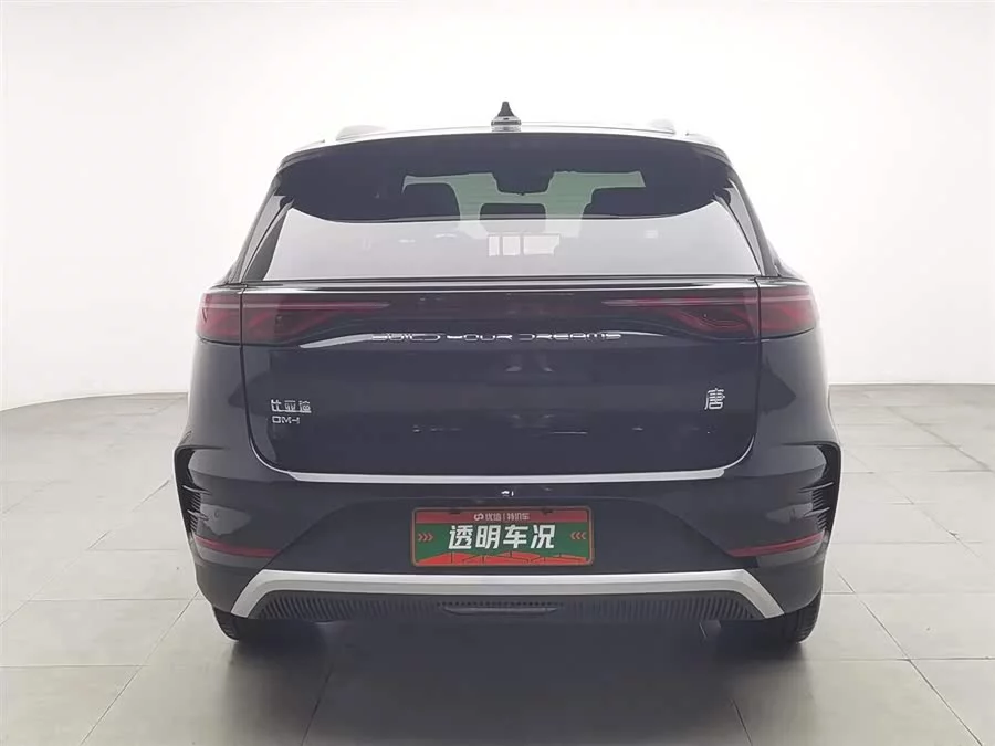BYD Tang New Energy