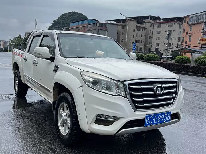 Great Wall Wing Jun 6