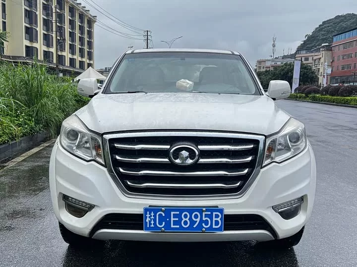 Great Wall Wing Jun 6