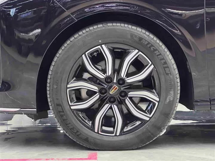 Hongqi HQ9