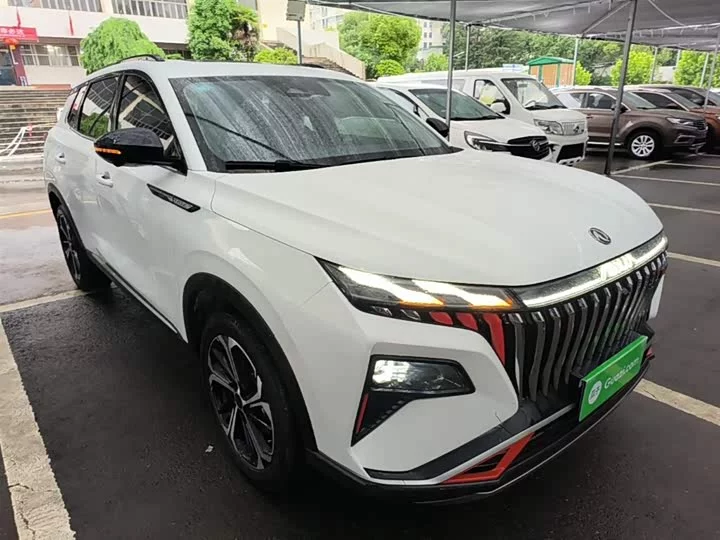 Dongfeng Haoji