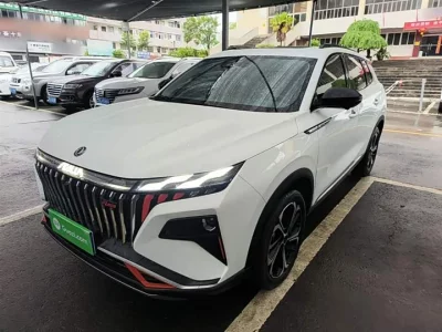 Dongfeng Haoji