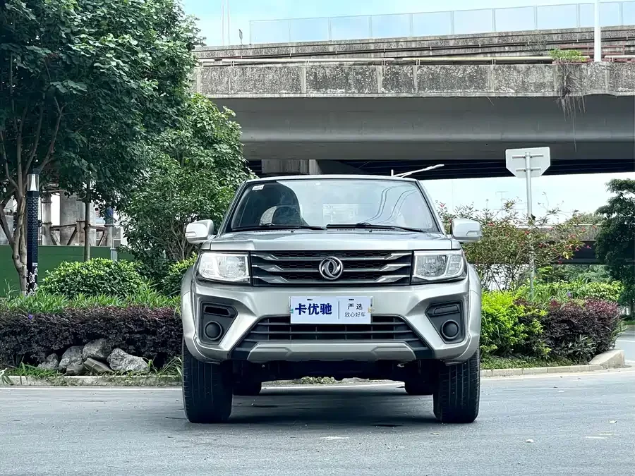 Dongfeng Ruiqi