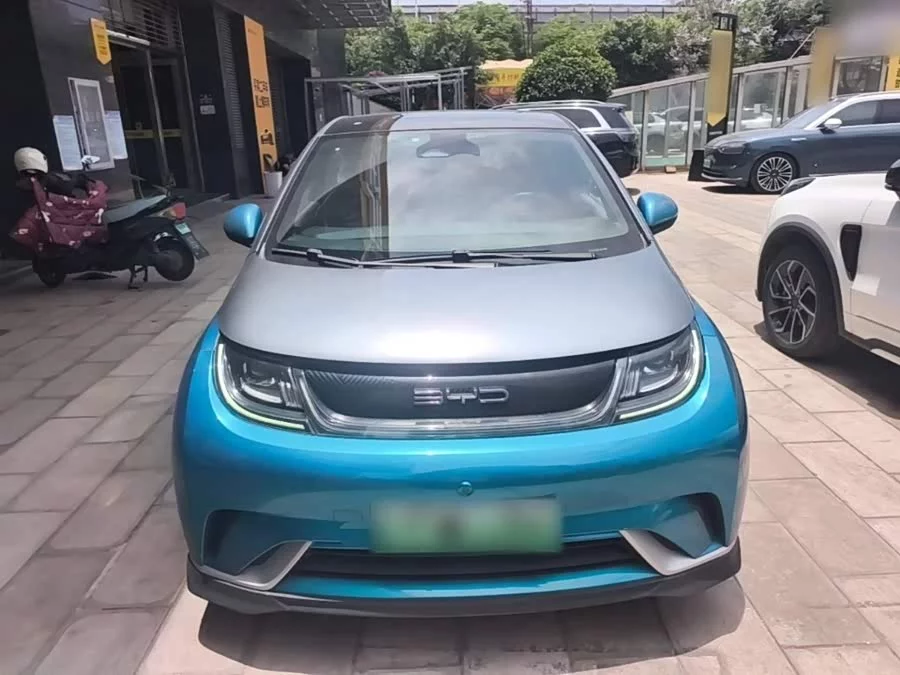 BYD Dolphin