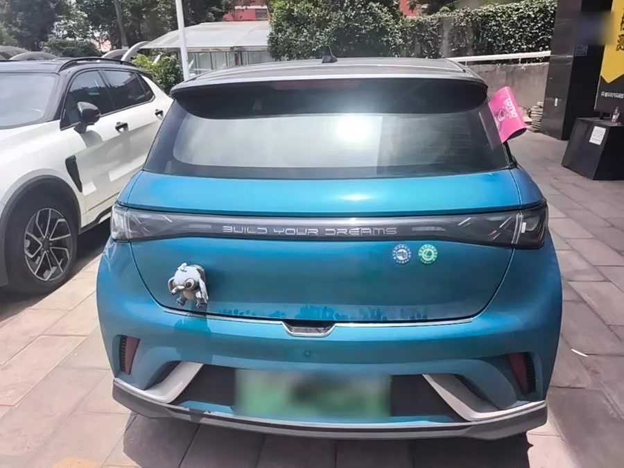 BYD Dolphin