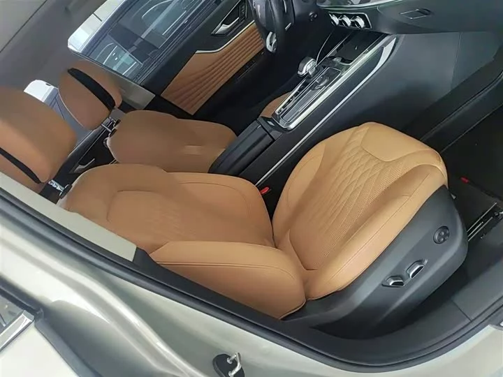 Hongqi HS5