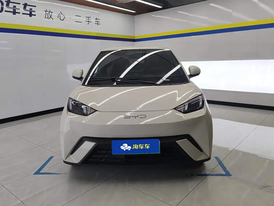 BYD Seagull