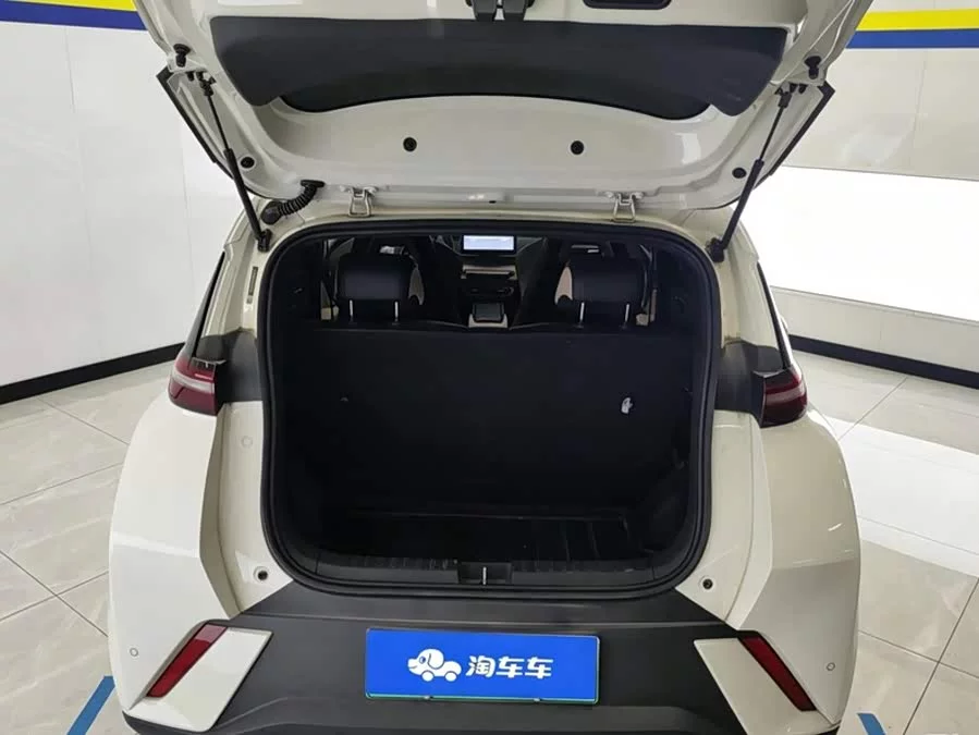 BYD Seagull