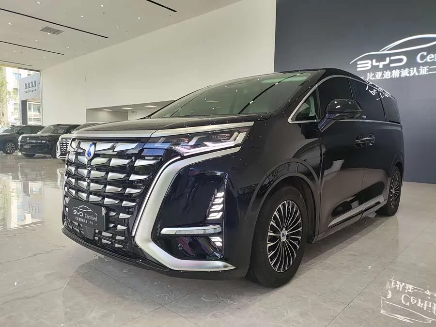 BYD D9