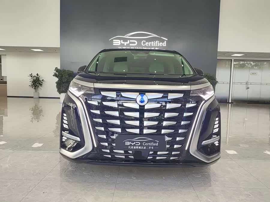 BYD D9