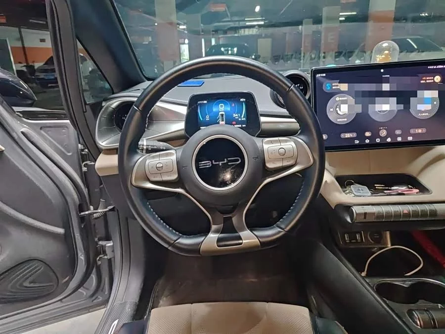 BYD Dolphin