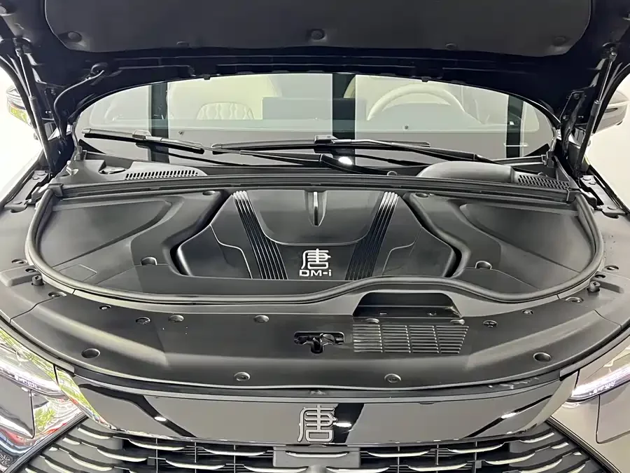 BYD Tang New Energy