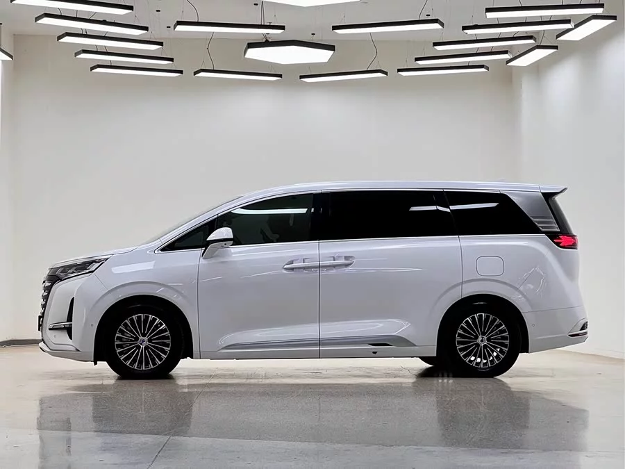 BYD D9