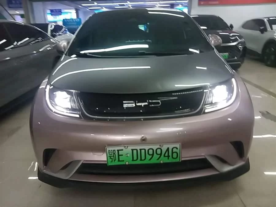 BYD Dolphin