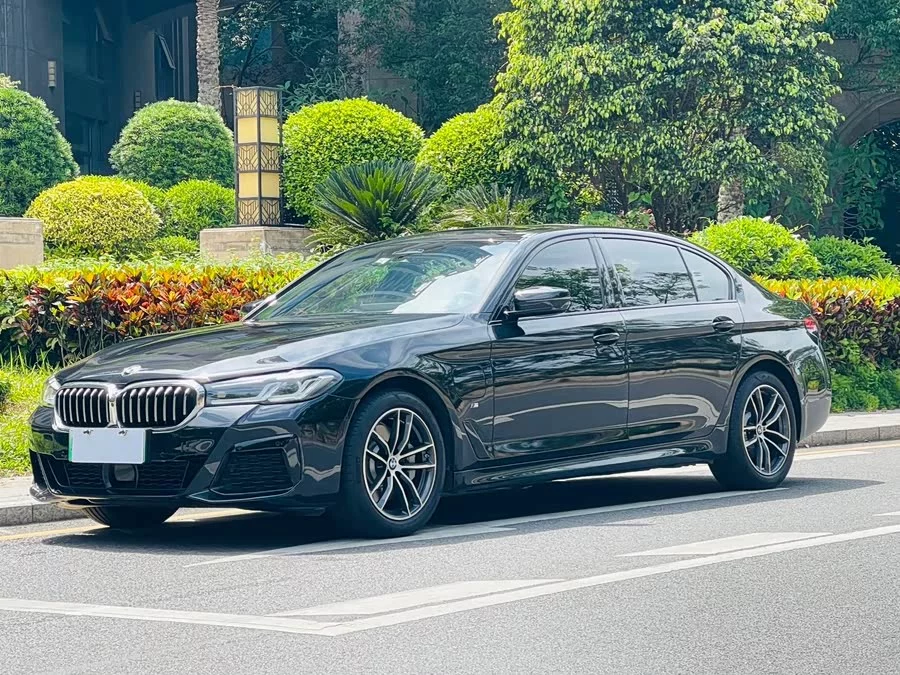BMW 5 Series New Energy