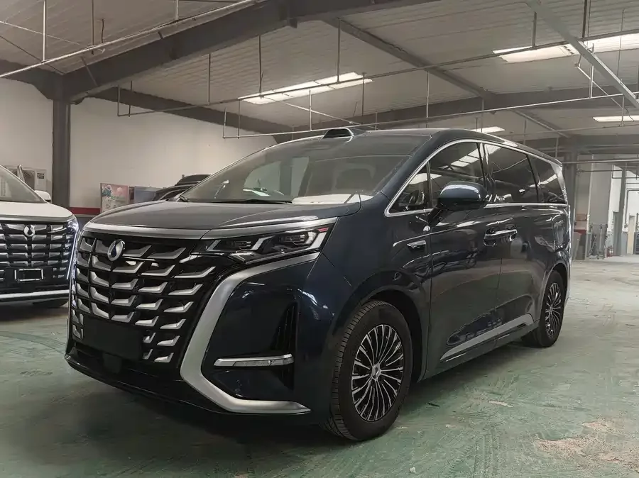 BYD D9