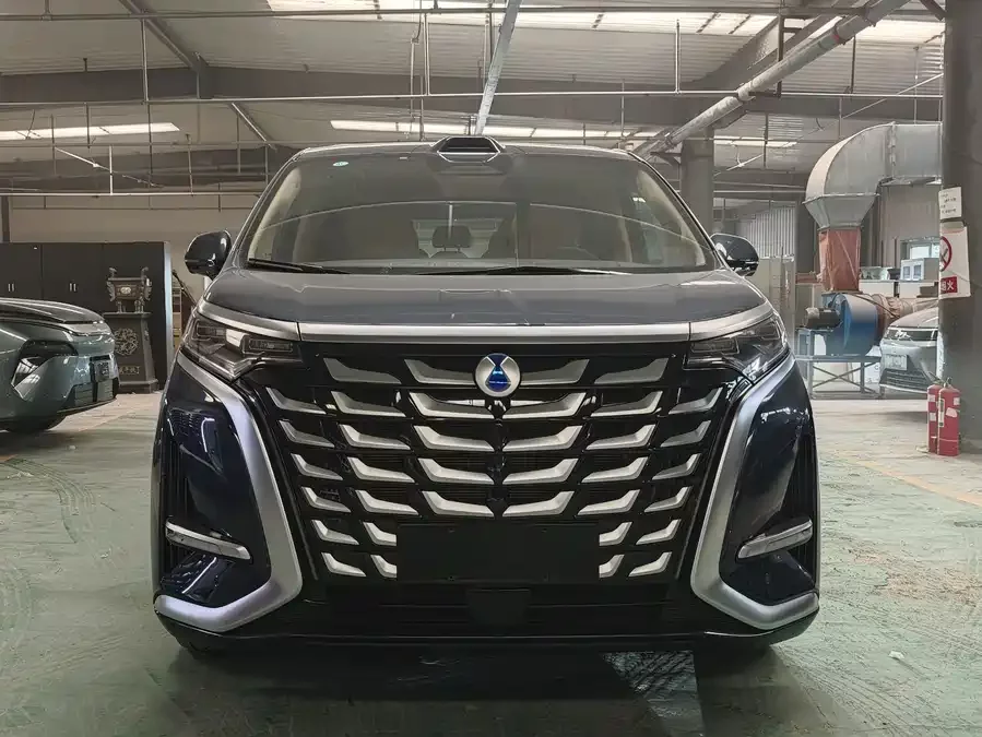 BYD D9