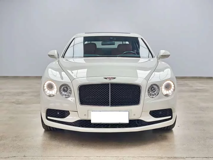 Bentley galloping