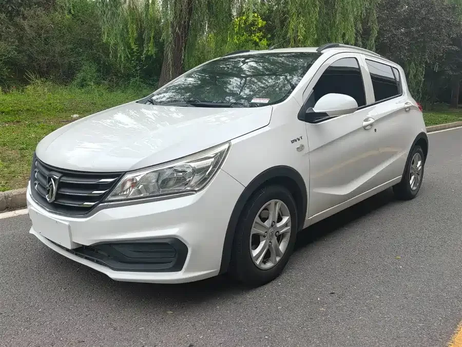 Baojun 310