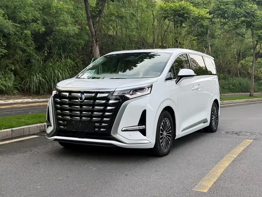 BYD D9