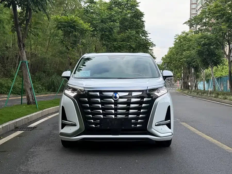 BYD D9