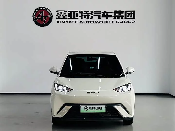 BYD seagull