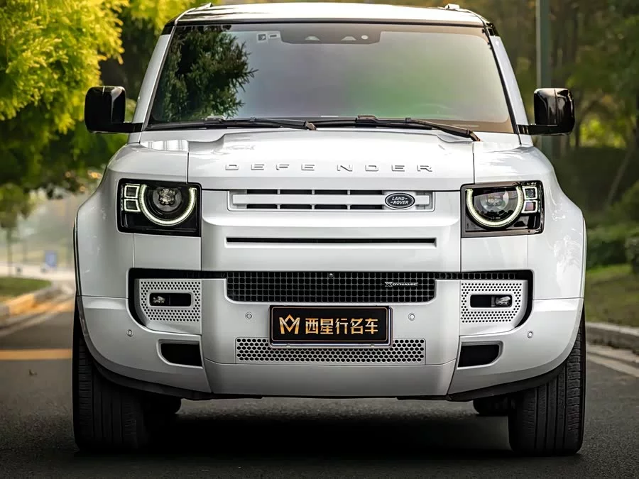 Land Rover guard