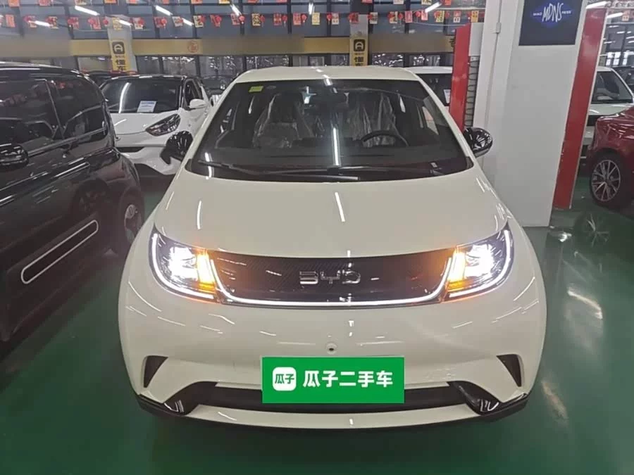 BYD Dolphin