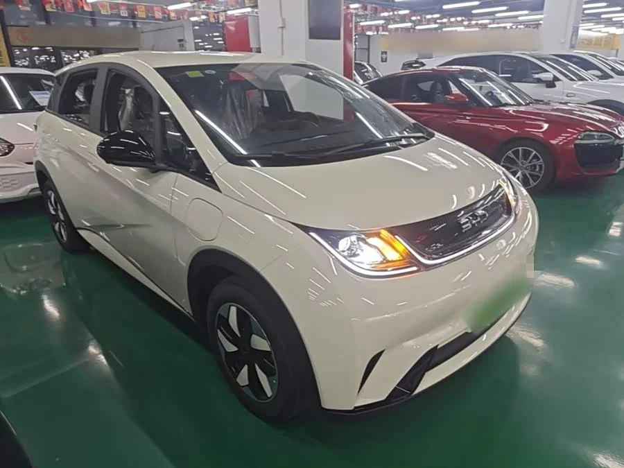 BYD Dolphin