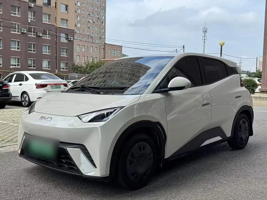 BYD Seagull