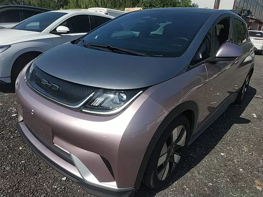 BYD Dolphin