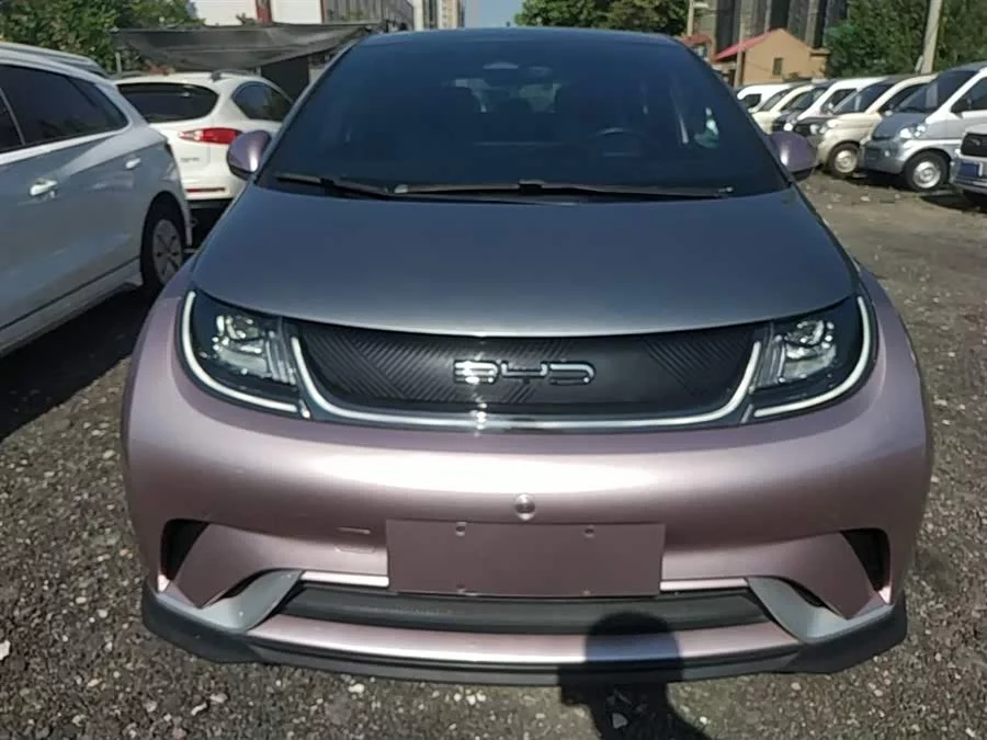 BYD Dolphin