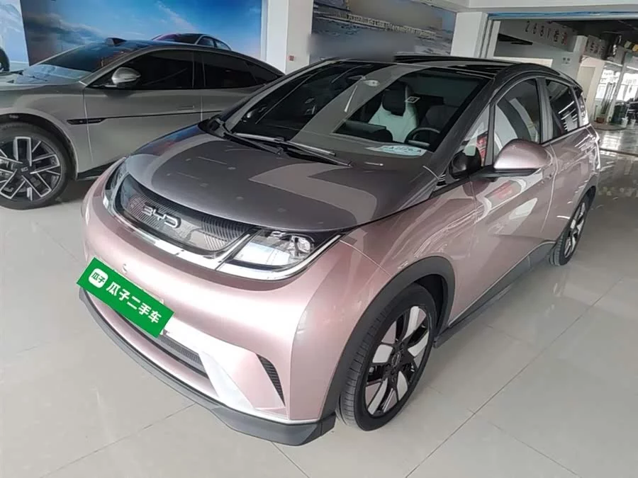 BYD Dolphin