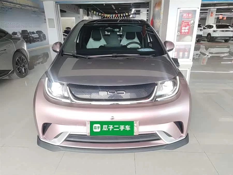 BYD Dolphin